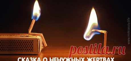 Мудрая сказка о том, почему нельзя жертвовать собой…