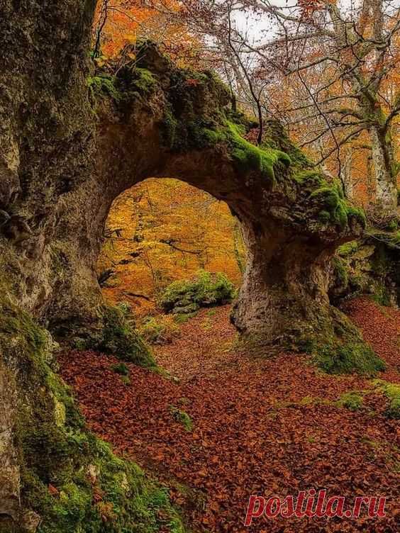 Pinterest