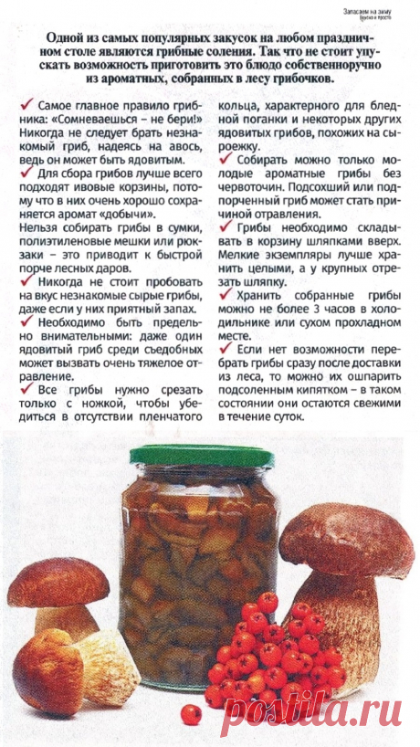Правила сбора и заготовки грибов