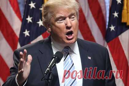 Самолет с Трампом на борту совершил вынужденную посадку из-за отказа двигателя. Самолет с бывшим президентом США Дональдом Трампом на борту совершил вынужденную посадку в Новом Орлеане из-за отказа двигателя. Об этом сообщила 9 марта газета Washington Post. Издание отметило, что инцидент произошел в субботу, 5 марта. Двигатель воздушного судна вышел из строя в воздухе над Мексиканским заливом.