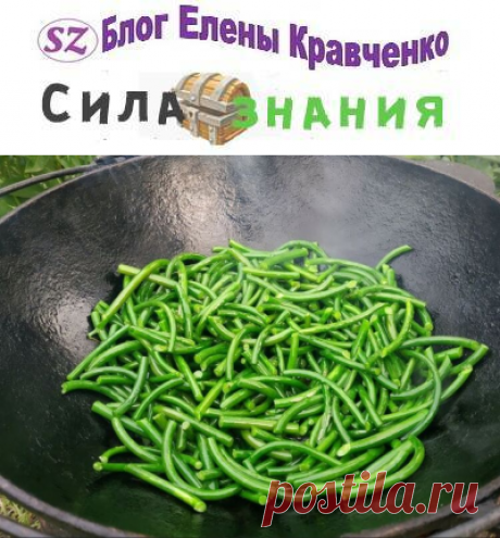 Жареные чесночные стрелки: рецепты приготовления на сковороде
