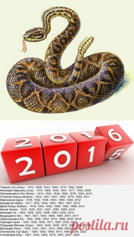 ШИПУЧИЙ УЖ - 2016 год !!!  **о славянскому календарю является годом Шипучего Ужа - с 21 марта 2016. Уж - способность быстрого восстановления утраченной части тела, обновление кожи и прочего. Это символ - ум и гармония, настойчивость и гибкость, долголетие и целительство. Уж будет покровительствовать настойчивым людям - которые решили начать новое дело, а также поможет избавиться от различных недугов.