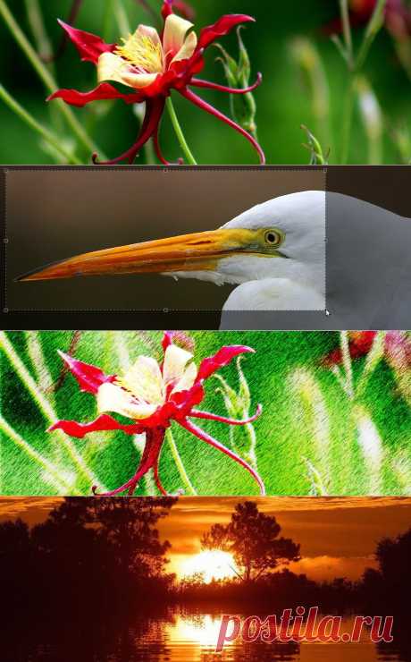 LunaPic | Бесплатные Photo Editor