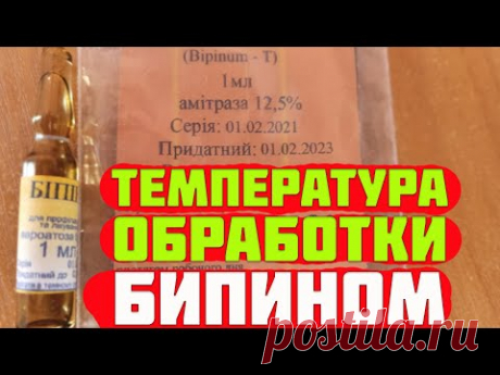 Бипин от клеща варроа. Температура обработки пчел бипином. Сроки обработки пчел бипином