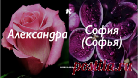 Узнай цветок своего имени