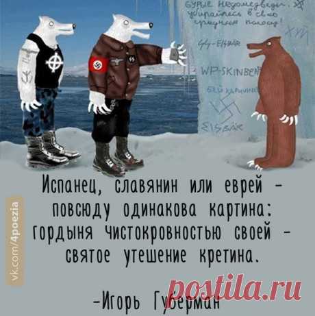 #25июня - Всероссийский день национальной гордости по Губерману
