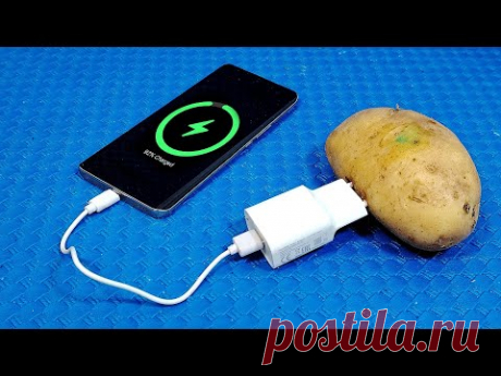 Как получить бесплатное электричество из картофеля (легко зарядить телефон) | Простые советы