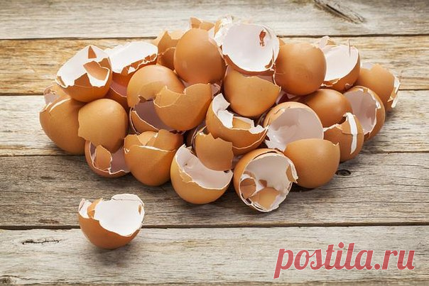 ЛЕКАРСТВА ИЗ… ПРОДУКТОВЫХ ОТХОДОВ