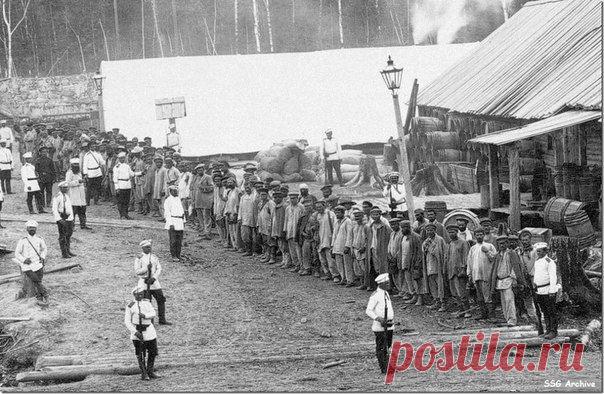 Построение каторжников и ссыльных. Временный лагерь на 685 версте Уссурийской железной дороги, близ Бикина, Транссибирская магистраль. Российская империя. Лето 1895 года. / История цивилизаций!