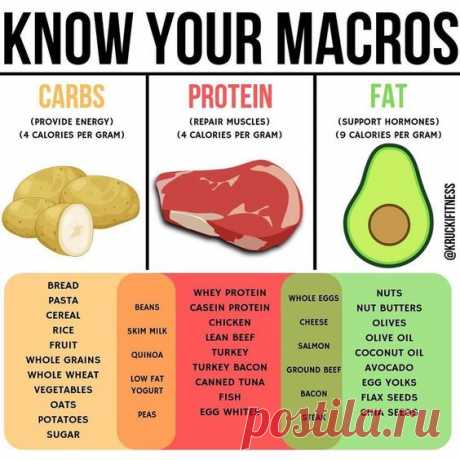 If you care at all about weight loss, muscle growth, overall health or anything similar, then you probably know your