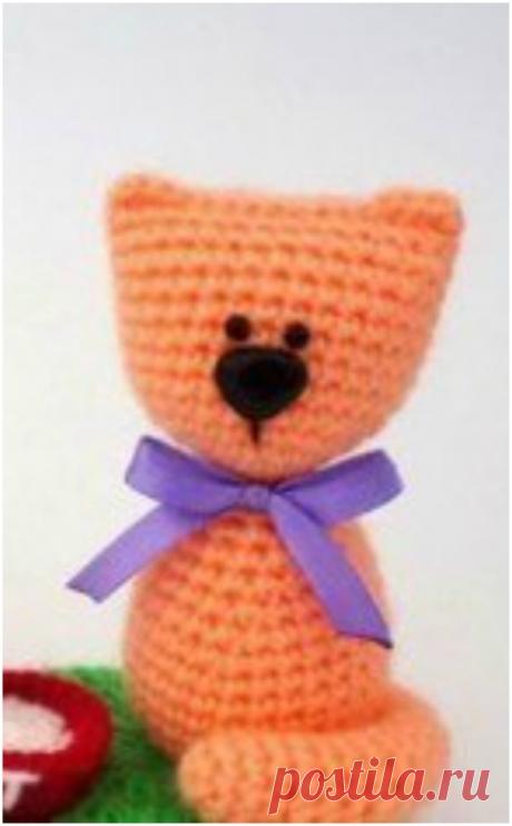 BEAUTIFUL KNITTING CAT