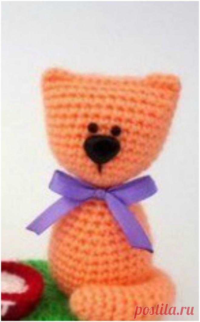 BEAUTIFUL KNITTING CAT