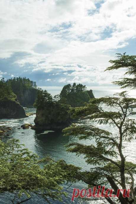 Olympic National Park, Washington I would like to go here… 
Flickr  |  Pinterest • Всемирный каталог идей