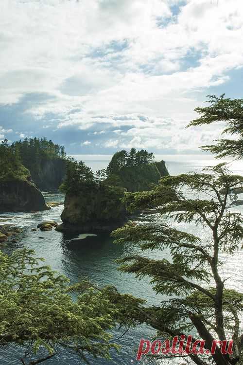 Olympic National Park, Washington I would like to go here… 
Flickr  |  Pinterest • Всемирный каталог идей