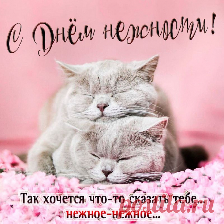 Нежности день наступил и это прекрасно,
Без нежных чувств ведь жить опасно,
Можно совсем очерстветь, охладеть,
И на жизнь серым взглядом глядеть.
