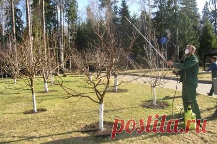 Профилактин для сада