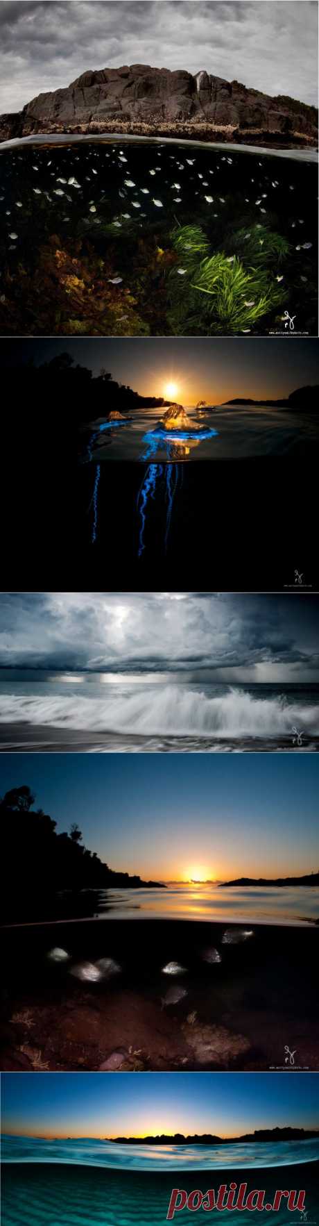 ФотоТелеграф » 20 фотографий победителя фотоконкурса дикой природы