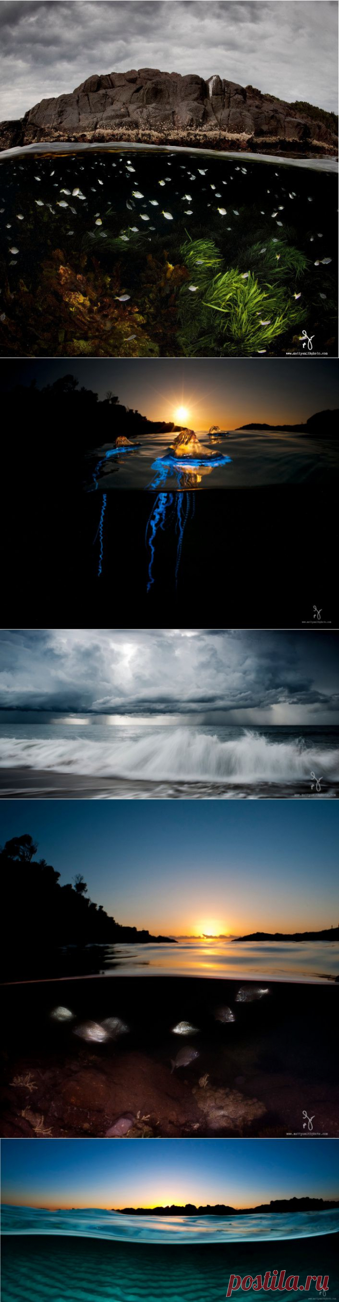 ФотоТелеграф » 20 фотографий победителя фотоконкурса дикой природы