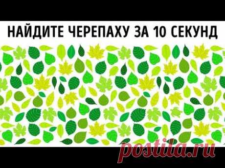 Этот Простой Тест Покажет, Истинный ли вы Интроверт