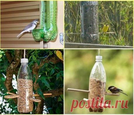 Креативные изделия из пластиковых бутылок