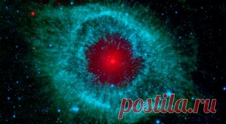 Ученые пришли к выводу, что смерти нет