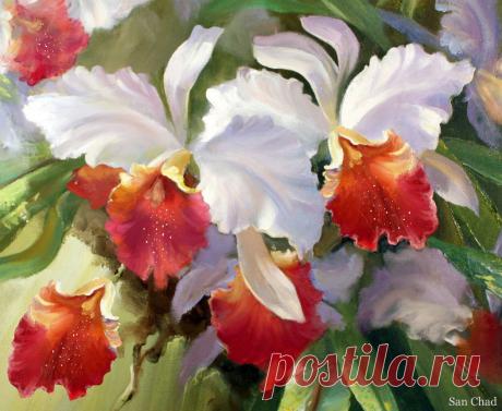 SAN CHAD * MODERN ART – 160 фотографий