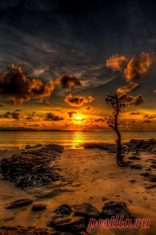atmospheric-phenomena:
“Sinking Sun. Sunset by NC Wong ”