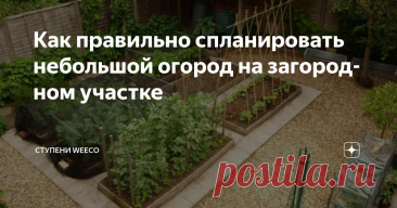Как правильно спланировать небольшой огород на загородном участке Статья автора «Ступени WeEco» в Дзене ✍: В наше время уже не принято делать большое количество овощных заготовок, закладывать мешками на хранение в погреб картофель, но на многих загородных участках