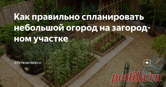 Как правильно спланировать небольшой огород на загородном участке Статья автора «Ступени WeEco» в Дзене ✍: В наше время уже не принято делать большое количество овощных заготовок, закладывать мешками на хранение в погреб картофель, но на многих загородных участках