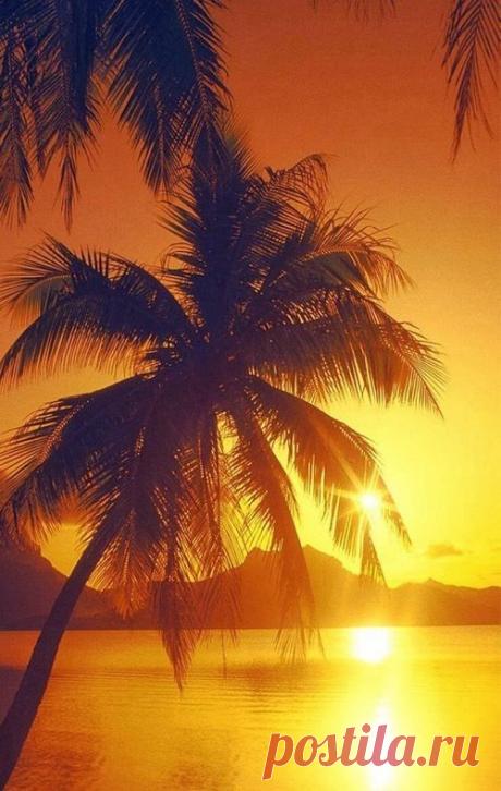 Pinterest: инструмент для поиска и хранения интересных идей