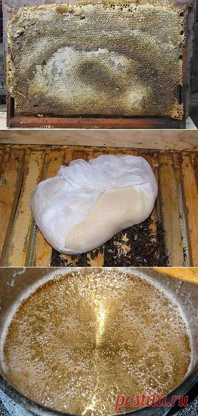 Подкормка пчел зимой - наиболее распространенные рецепты подкормок | Мое подворье