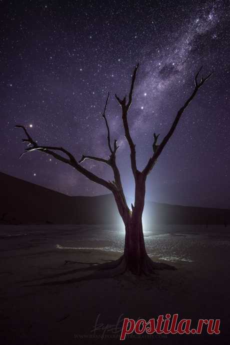 Welcome! :) — me-lapislazuli: The Boneyard | by RyanDyar |...