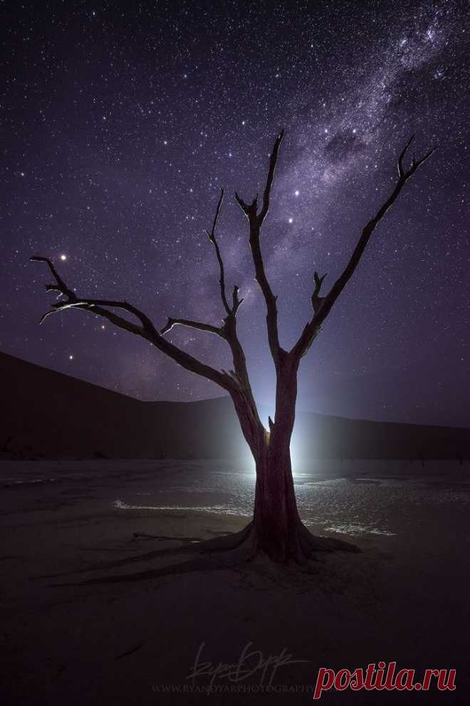 Welcome! :) — me-lapislazuli: The Boneyard | by RyanDyar |...