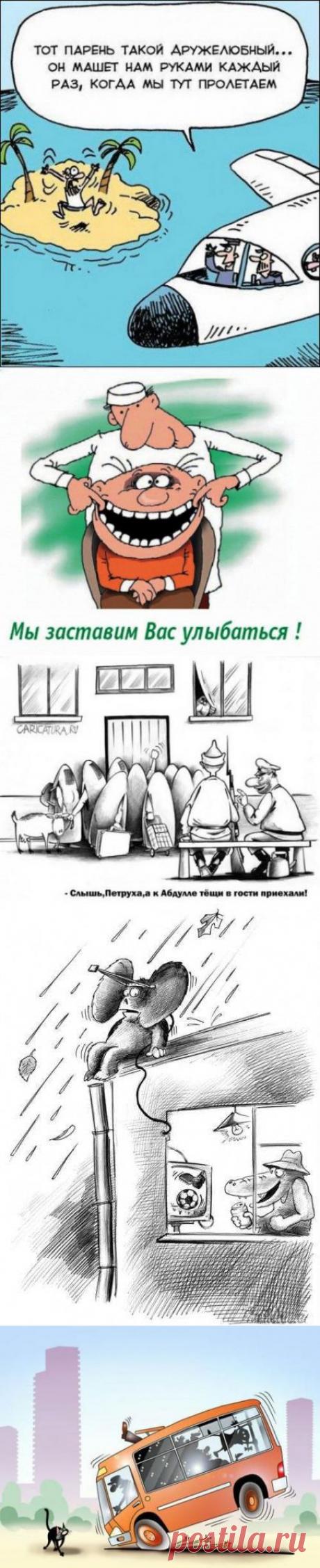 Карикатуры на воскресный вечерок. | Приколисты