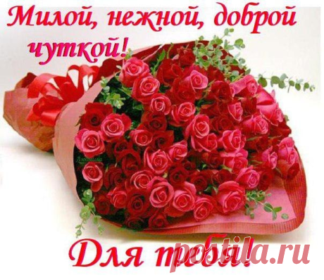Плейкаст «привет»