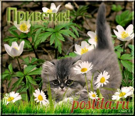 Прикольные открытки для друзей - cтраница 2