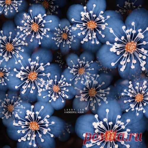 Larry Lan – A Wonderful Album [CADENZA133] Larry Lan – A Wonderful Album [CADENZA133] download for free Styles Minimal / Deep TechDate 2025-05-16Catalog # CADENZA133