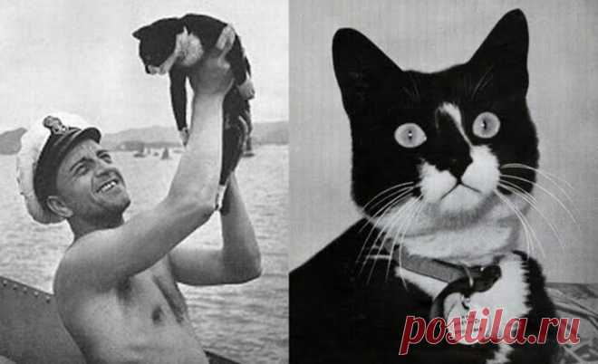 20 забавных фотографий обо всём для поднятия настроения