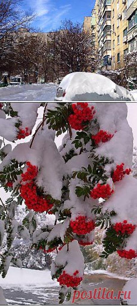 (4) Одноклассники