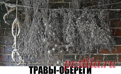 (91) Одноклассники
