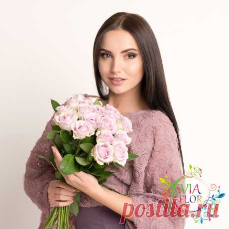 Роза сорт Морнинг Дью