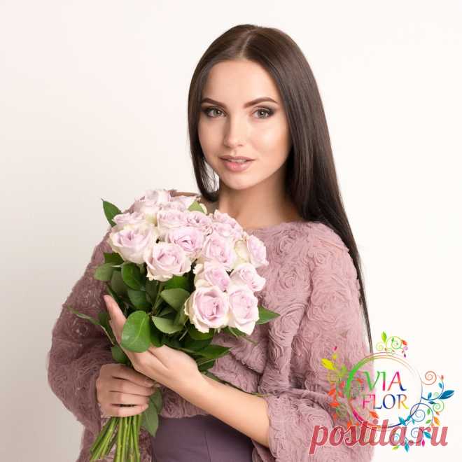 Роза сорт Морнинг Дью