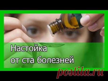 Настойка от ста болезней (универсальная настойка)