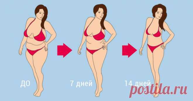Похудение за 14 дней
