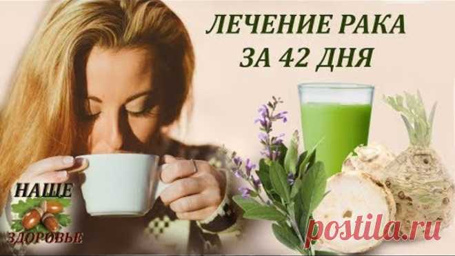 ЛЕЧЕНИЕ РАКА за 42 дня. Метод Рудольфа Бройса