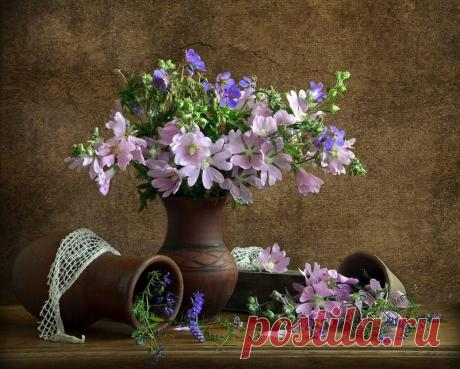 натюрморты