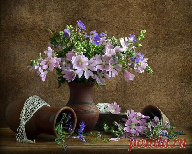 натюрморты