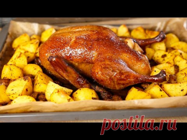 УТКА запеченная с яблоками, картошкой и грибами. Утка запеченная в духовке.