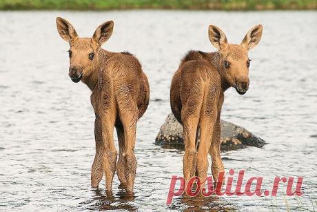 Интересные новости