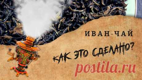 Иван-чай: как это делается